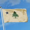 First Maine Flag - Image 2